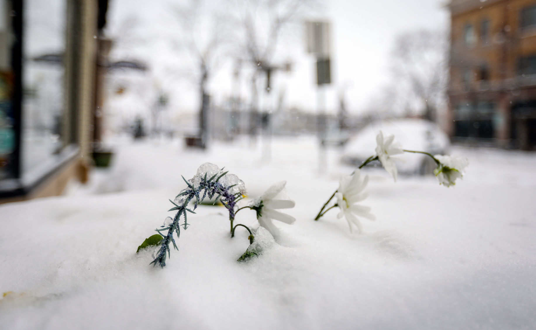Second straight day of snow in Rapid City